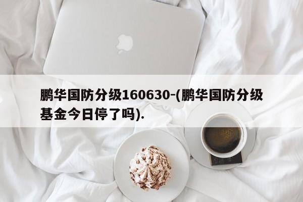 鹏华国防分级160630-(鹏华国防分级基金今日停了吗).
