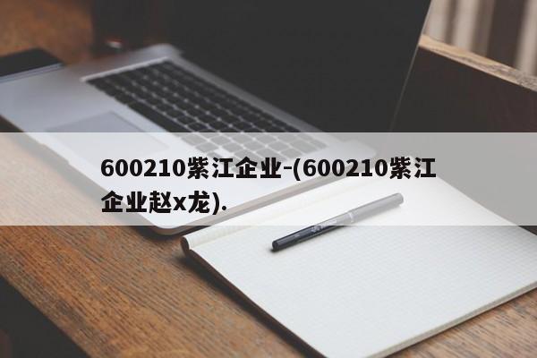 600210紫江企业-(600210紫江企业赵x龙).